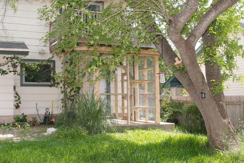 Catio hotsell under deck